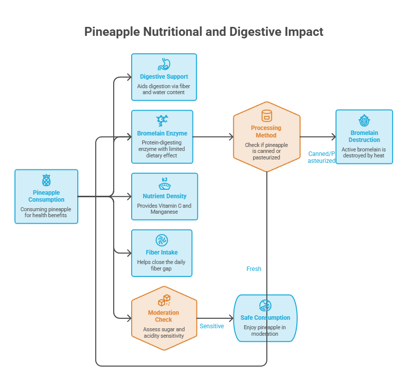 Infographic showing pineapple's nutritional impact, including digestive support, bromelain enzyme, and moderation check.