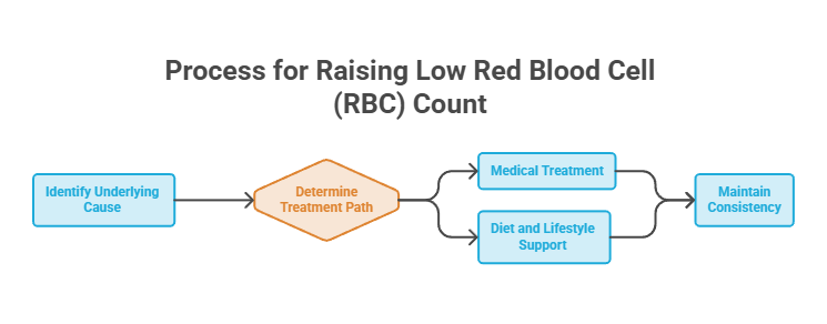 Flowchart illustrating the process for raising low red blood cell count, including steps and treatment options.