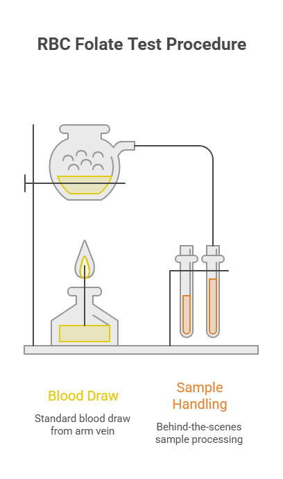 RBC folate test procedure showing blood draw and sample handling steps with illustrations and labels. Infographic.