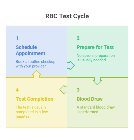 Infographic showing the RBC test cycle with four steps: Schedule Appointment, Prepare for Test, Blood Draw, and Test Completion.