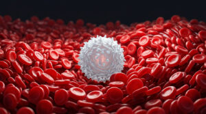 A white blood cell surrounded by numerous red blood cells in a dark background.