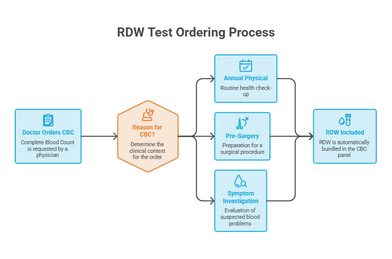 RDW test ordering process flowchart showing steps from doctor orders to reasons for CBC tests. Infographic.