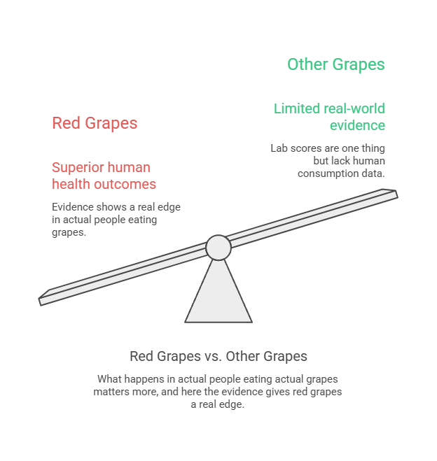 Infographic comparing red grapes and other grapes, highlighting health outcomes and evidence.