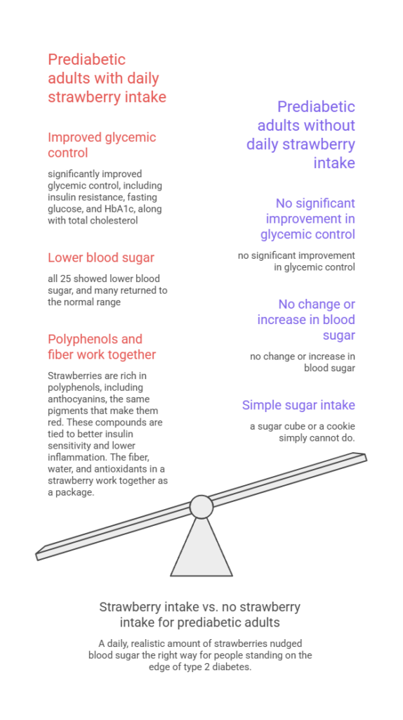 Infographic comparing effects of daily strawberry intake on prediabetic adults' glycemic control and blood sugar levels.