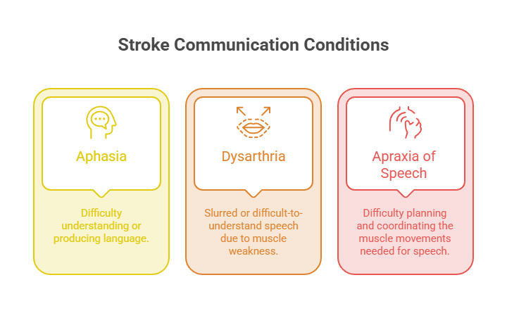 Infographic explaining stroke communication conditions: Aphasia, Dysarthria, and Apraxia of Speech with definitions.
