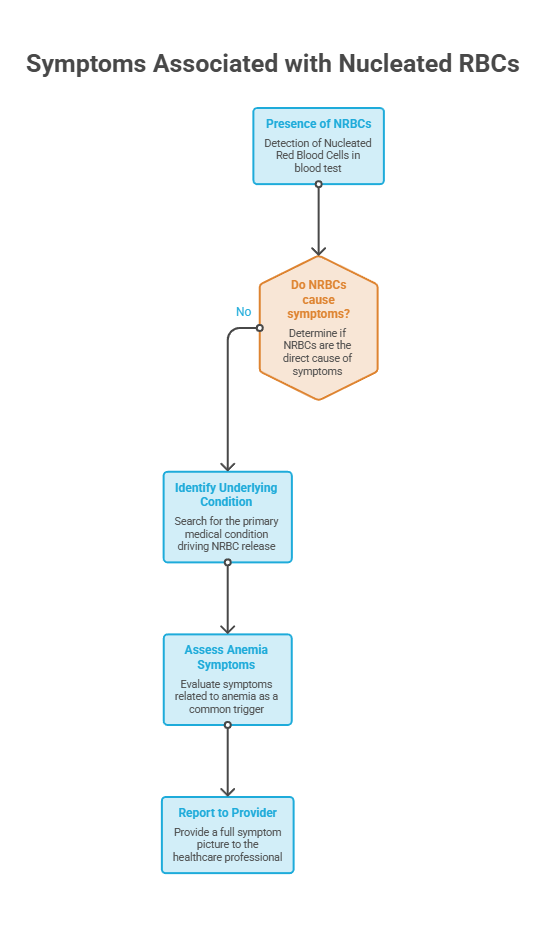 Flowchart detailing symptoms associated with nucleated red blood cells, including steps for assessment and reporting. Infographic.