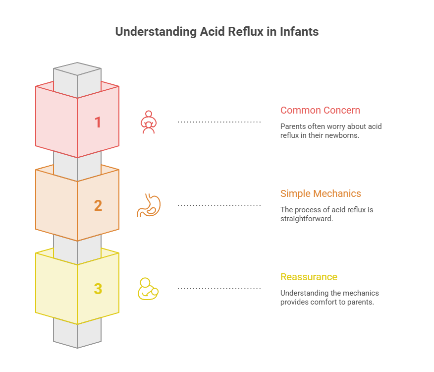 Infographic explaining acid reflux in infants with three sections: Common Concern, Simple Mechanics, and Reassurance.
