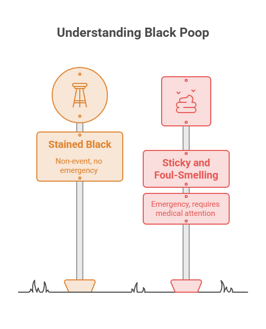 Infographic explaining black poop with signs indicating "Stained Black" and "Sticky and Foul-Smelling" conditions.