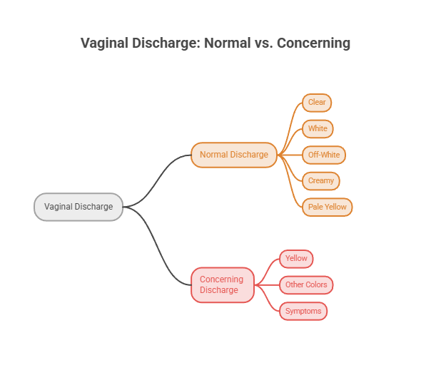 Diagram illustrating vaginal discharge types: normal (clear, white, off-white, creamy, pale yellow) and concerning (yellow, other colors, symptoms). Infographic