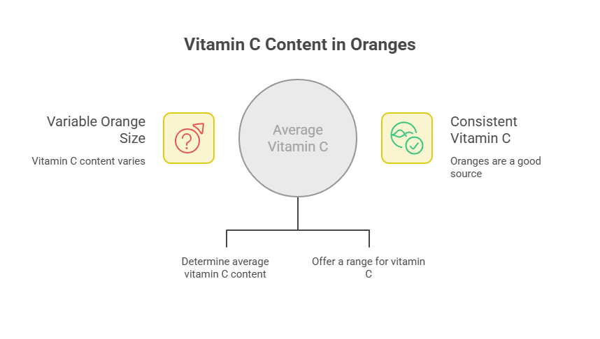Infographic showing Vitamin C content in oranges with variable size, average Vitamin C, and consistent Vitamin C sources.