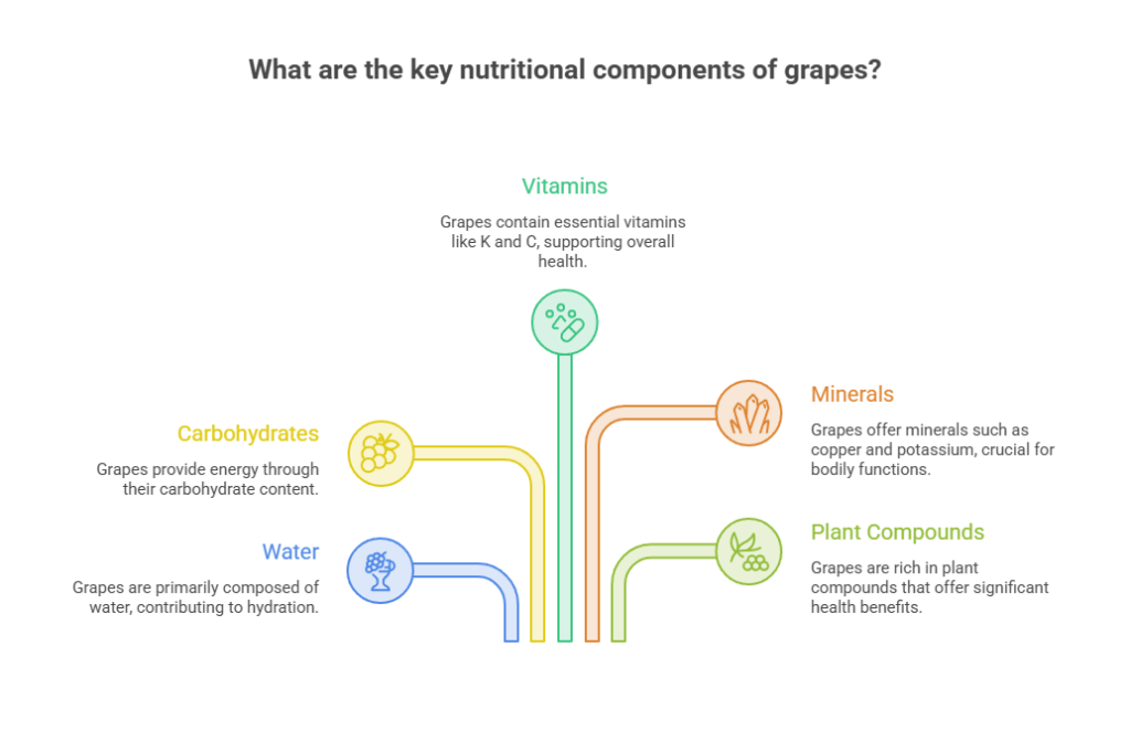 Infographic showing nutritional components of grapes: vitamins, carbohydrates, water, minerals, and plant compounds.