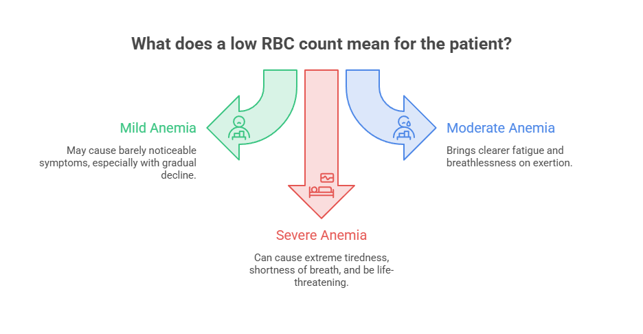 Infographic explaining low RBC count effects: Mild, Moderate, and Severe Anemia with symptoms and icons.
