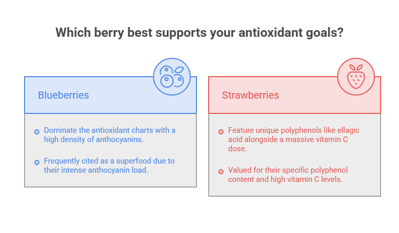 Comparison of blueberries and strawberries highlighting antioxidant benefits and nutritional content. Infographic.