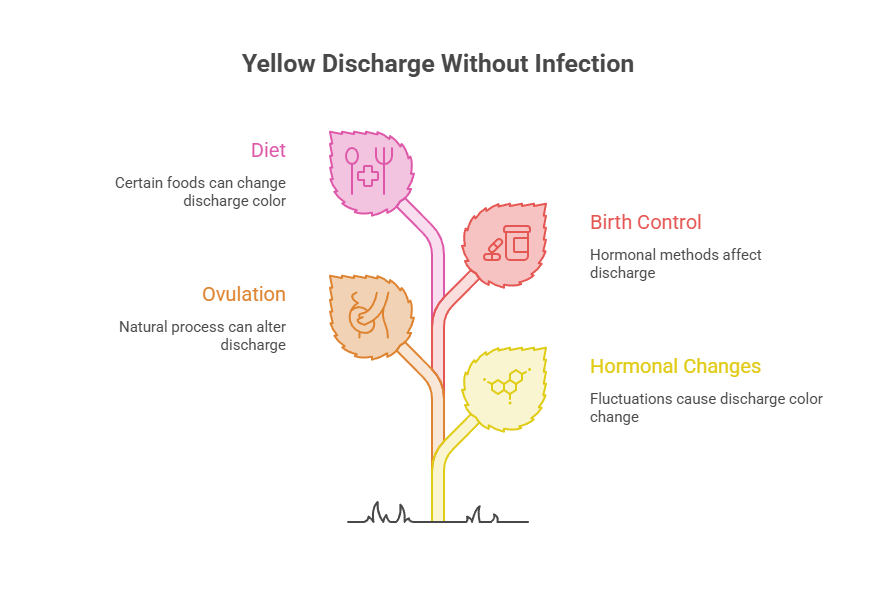 Infographic showing causes of yellow discharge without infection, including diet, ovulation, birth control, and hormonal changes.