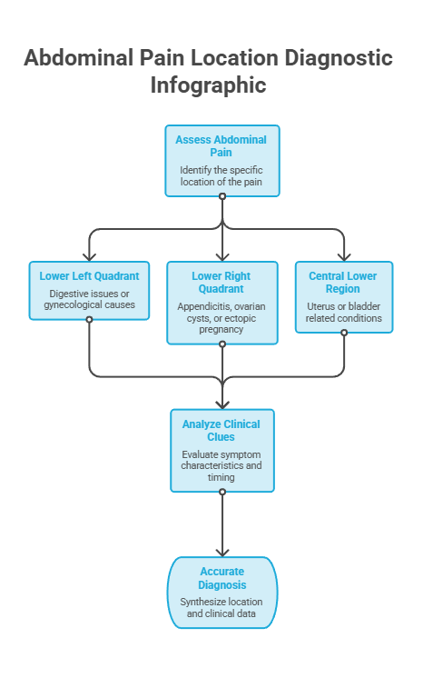 Flowchart identifying abdominal pain locations and potential causes, including lower quadrants and clinical clues. Infographic.