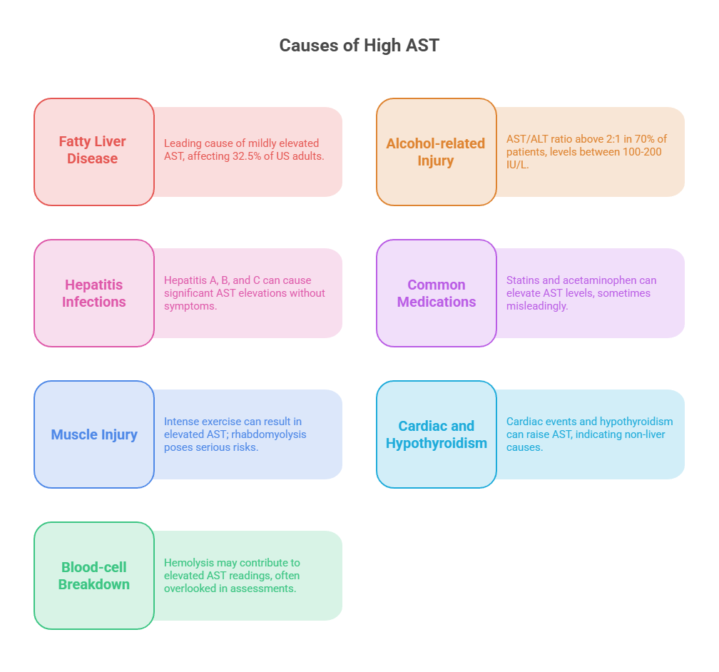 Infographic showing causes of high AST levels, including Fatty Liver Disease, Alcohol-related Injury, and more.