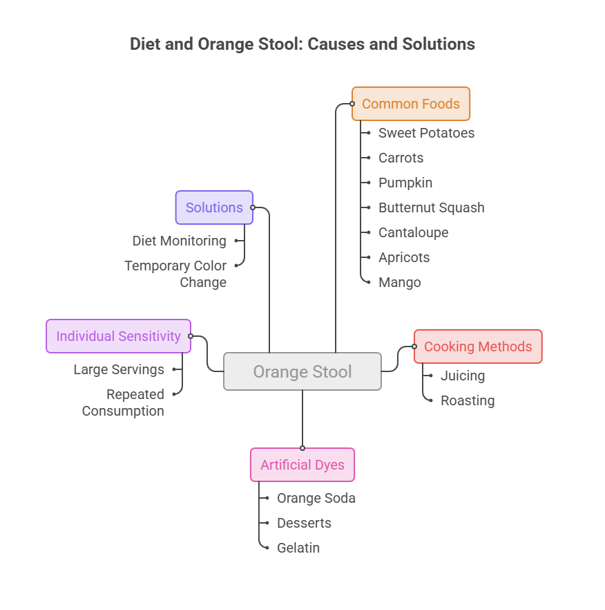 Infographic explaining causes and solutions for orange stool, including common foods and cooking methods.
