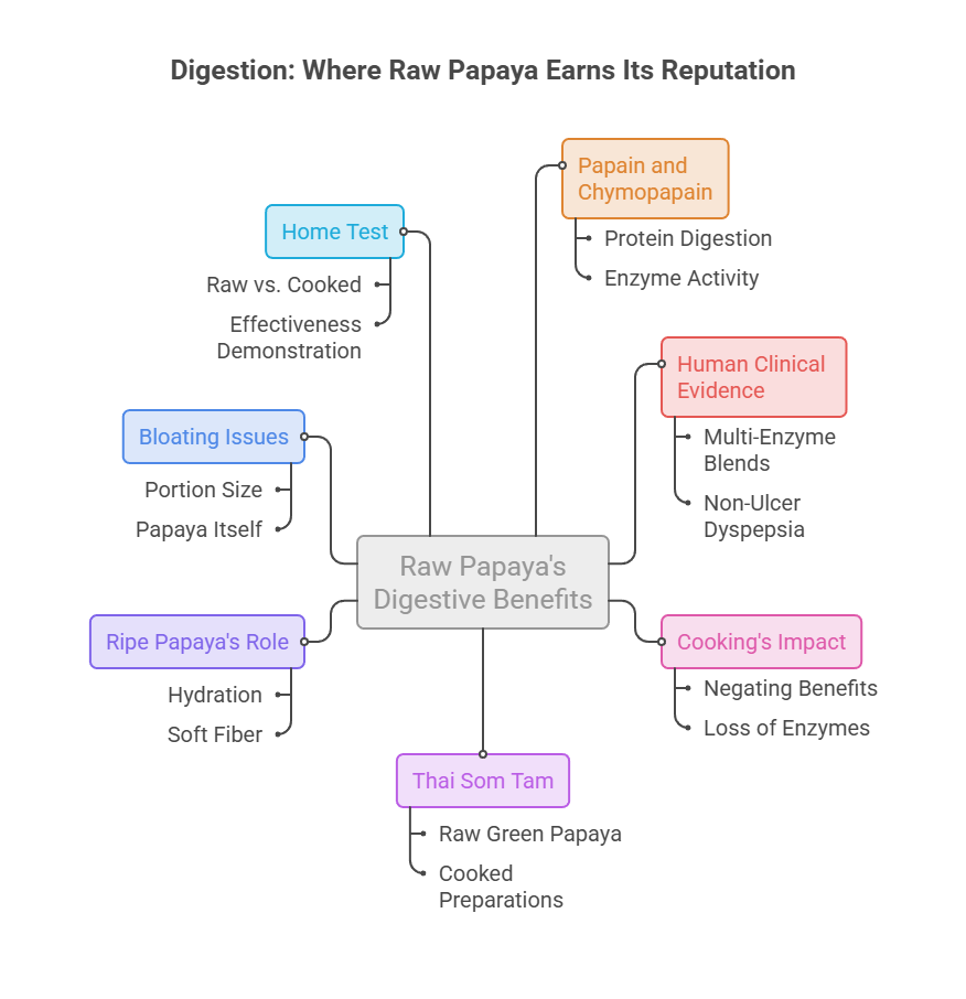 Infographic showing digestive benefits of raw papaya, including home test, bloating issues, and cooking's impact.