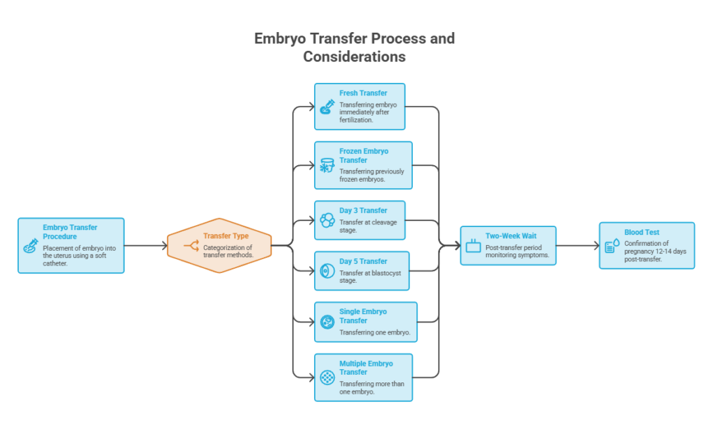 Infographic illustrating the embryo transfer process with steps and types of transfers involved.