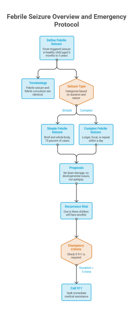 Infographic detailing febrile seizure overview, types, prognosis, recurrence risk, and emergency protocol steps.