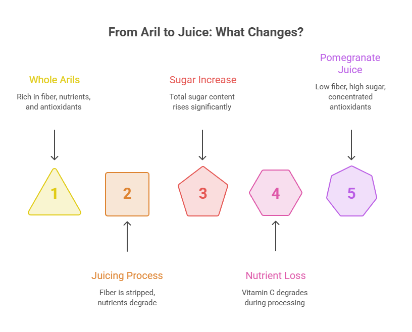 Infographic showing changes from whole arils to pomegranate juice, highlighting fiber, sugar, and nutrient loss.