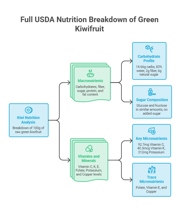 Infographic showing the USDA nutrition breakdown of green kiwifruit, including macronutrients and vitamins.