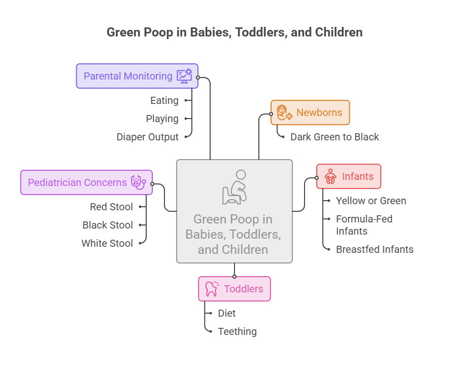 Infographic explaining green poop in babies, toddlers, and children with sections on parental monitoring and pediatrician concerns.