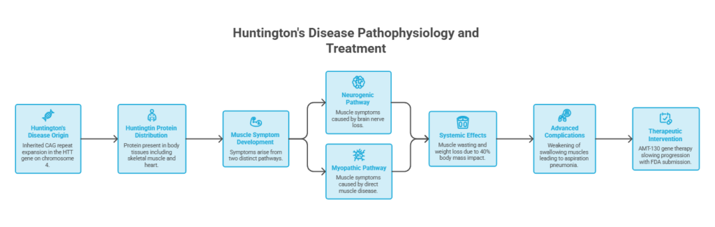 Infographic illustrating Huntington's disease pathophysiology and treatment with labeled pathways and effects.