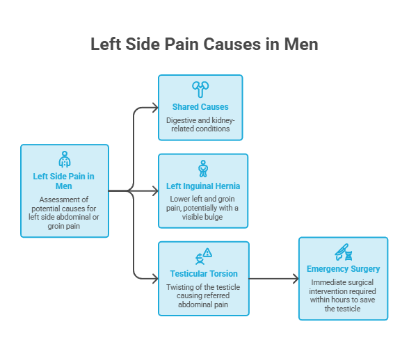 Infographic showing causes of left side pain in men, including inguinal hernia and testicular torsion.