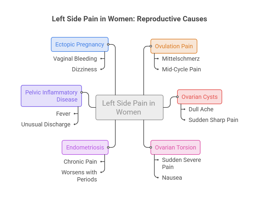 Infographic showing causes of left side pain in women, including ectopic pregnancy, ovarian cysts, and endometriosis.