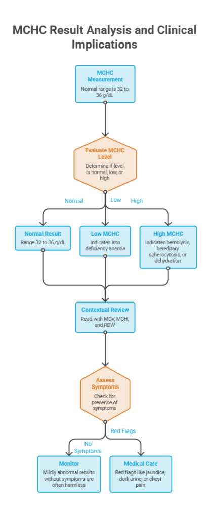 Flowchart detailing MCHC measurement and clinical implications, including normal, low, and high results.