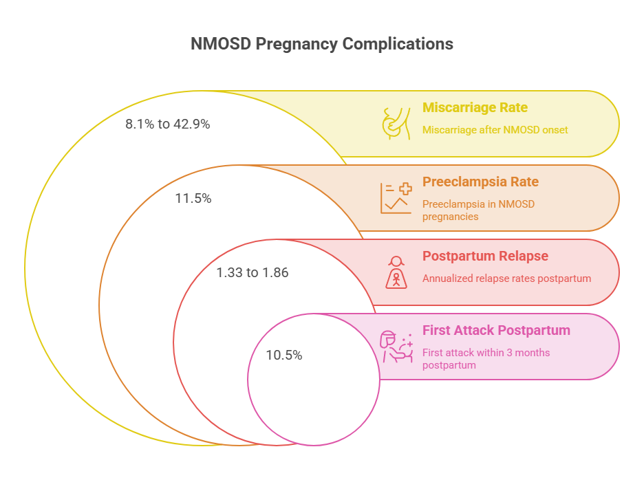 NMOSD pregnancy complications infographic showing miscarriage, preeclampsia, postpartum relapse, and first attack rates.