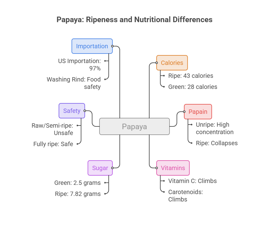 Infographic showing papaya ripeness and nutritional differences, including calories, safety, sugar, and vitamins.