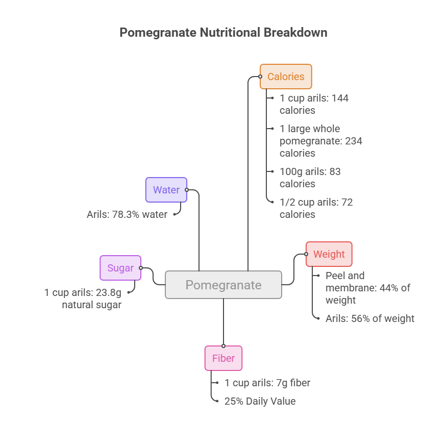 Infographic showing pomegranate nutritional breakdown with calories, water, sugar, fiber, and weight details.