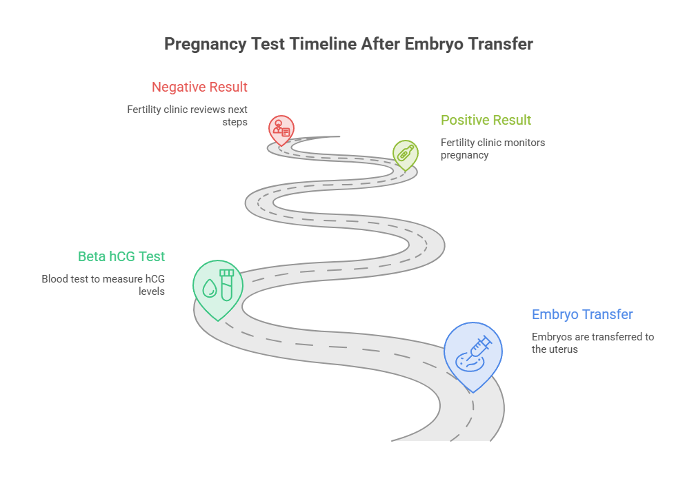 Infographic showing pregnancy test timeline after embryo transfer with steps and icons for each stage.