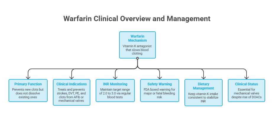 Infographic detailing Warfarin clinical overview, including mechanism, functions, indications, monitoring, and management.