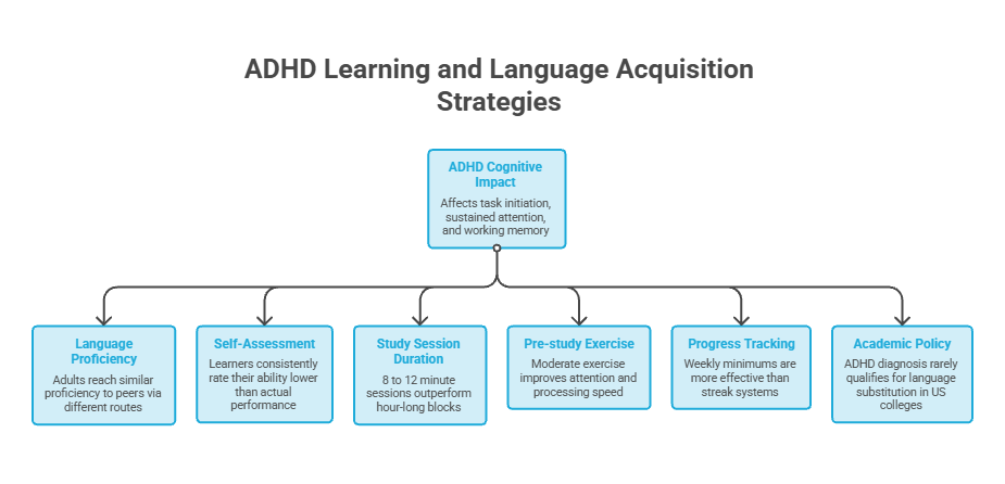 Infographic on ADHD Learning and Language Acquisition Strategies with key points and flowchart layout.