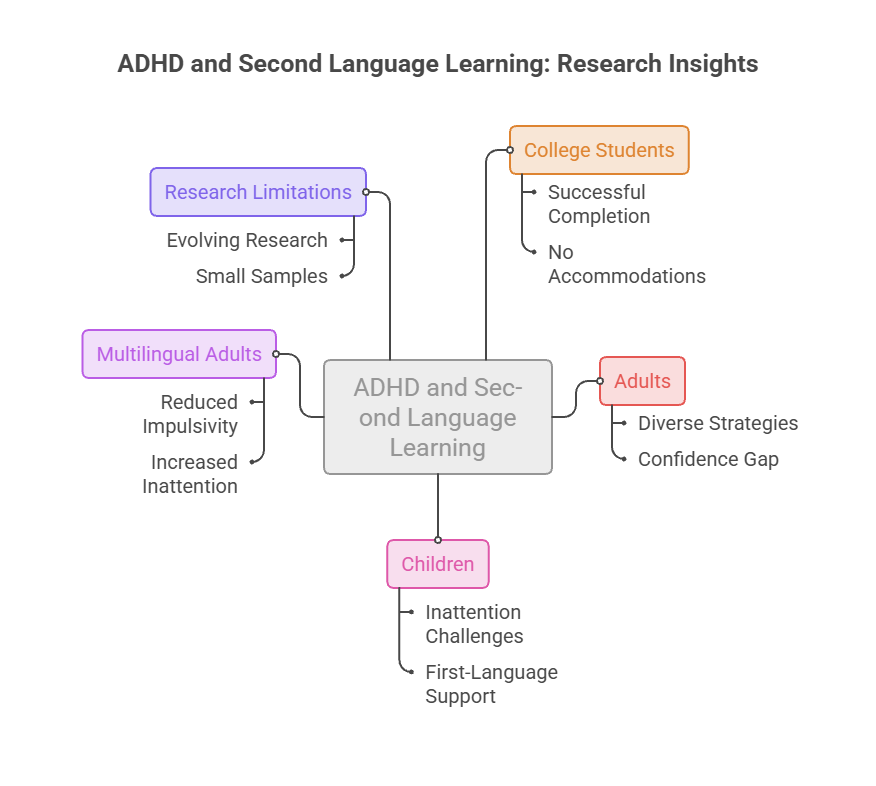 Infographic showing ADHD and second language learning insights, including categories for children, adults, and research limitations.