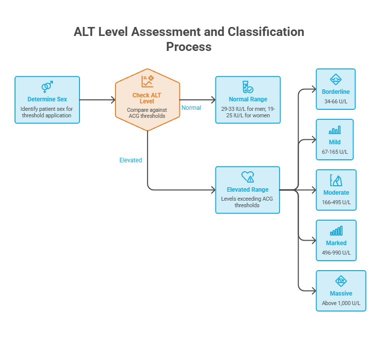 Flowchart illustrating ALT level assessment process with sex determination and classification ranges. Infographic.