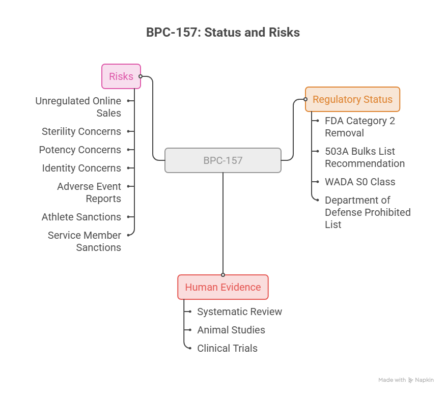 Infographic detailing BPC-157 status, risks, and human evidence, including regulatory status and concerns.