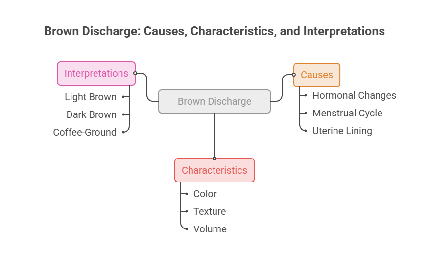 Infographic explaining brown discharge causes, characteristics, and interpretations with flowchart elements.