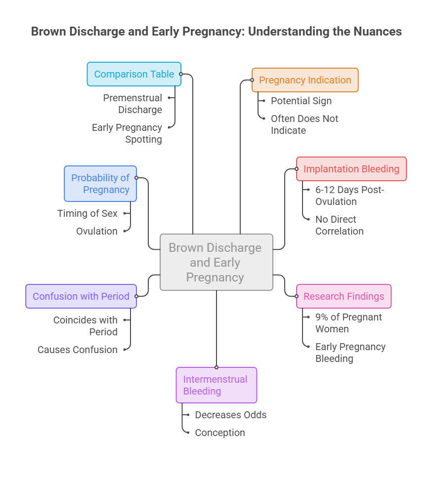 Infographic explaining brown discharge and early pregnancy, featuring comparison table and key indicators.