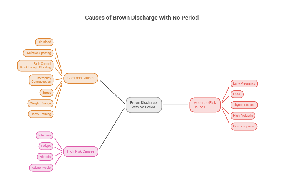 Mind map illustrating causes of brown discharge with no period, including common and high-risk causes. Infographic.