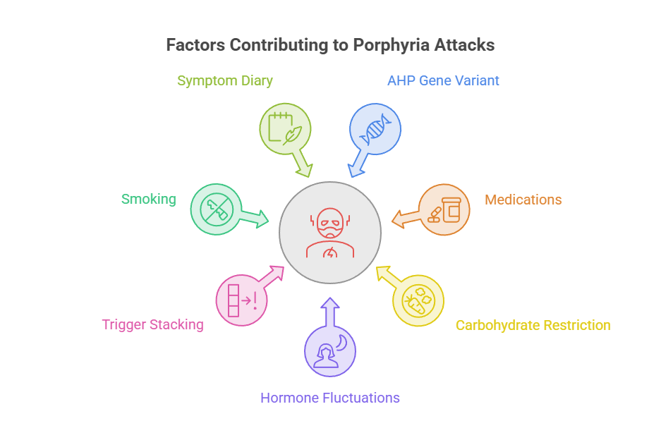 Infographic showing factors contributing to porphyria attacks, including symptoms, medications, and triggers.