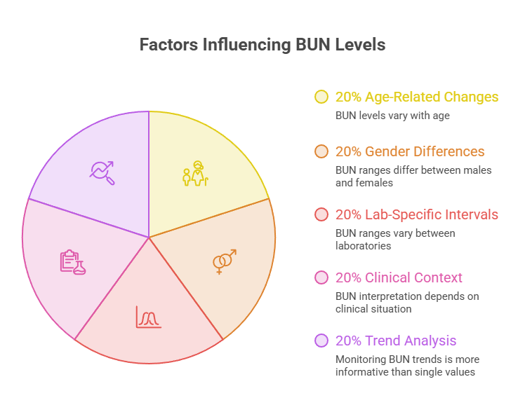 Pie chart showing factors influencing BUN levels with labels for age, gender, lab intervals, clinical context, and trend analysis.