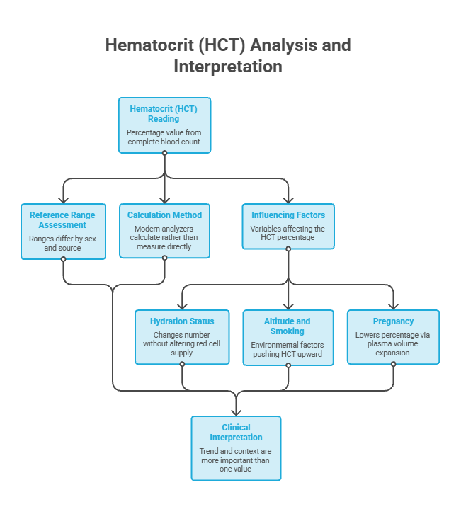 Infographic illustrating Hematocrit (HCT) analysis, showing reading, calculation method, influencing factors, and clinical interpretation.
