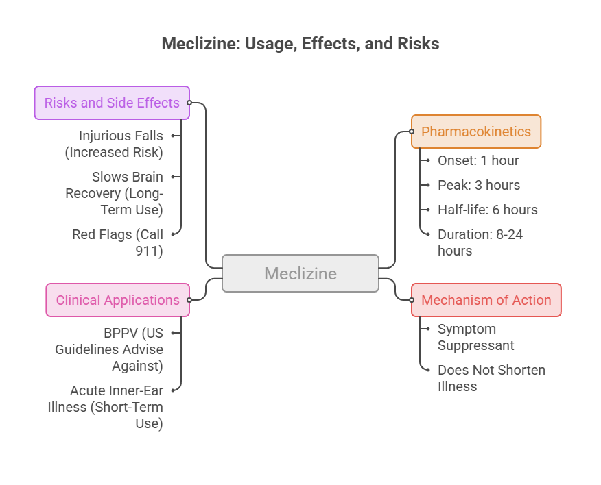 Infographic detailing Meclizine's usage, effects, risks, and pharmacokinetics with labeled sections and icons.