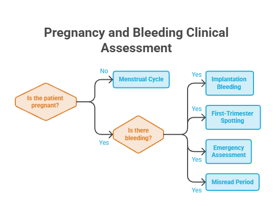 Flowchart assessing pregnancy and bleeding with decision points and outcomes.