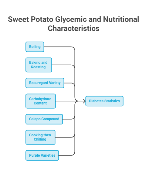Flowchart showing sweet potato glycemic and nutritional characteristics with various cooking methods and diabetes statistics.