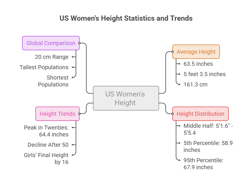 Infographic showing US women's height statistics, including average height and height distribution data.